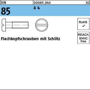 1.000850.94000 - DIN 85  Flachkopfschraube, Schlitz, A4