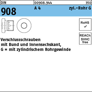 1.009080.94400 - DIN 908  Verschluss-Schraube mit Bund, ISK, zyl. Rohr G, A4