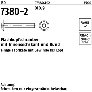 1.073802.10200 - ISO 7380-2  Flachkopfschraube mit Bund, Innensechskant, Stahl 10.9