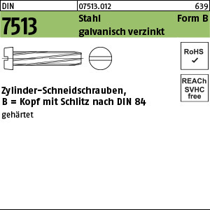 1.075130.01200 - DIN 7513  Schneidschraube, ZyKo Schlitz, Form B, Stahl geh. gal Zn